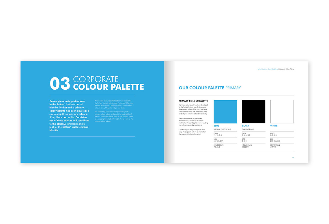 Salters' Institute - Primary Colour Palette